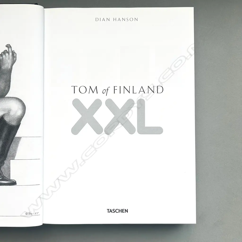 DIAN HANSON: TOM OF FINLAND Image 1++